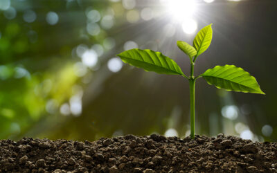 Continuous Improvement is Better than Delayed Perfection